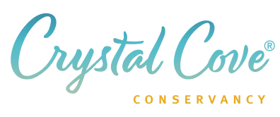 Crystal Cove Conservancy logo